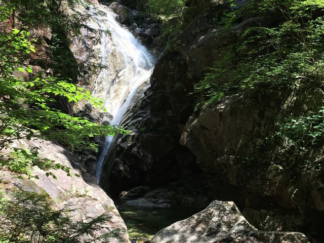 �y������z�Ɠ��ȃt�H�����i�{�������܂ł̕��򓹂͂�⌯�����j_�c���̑�