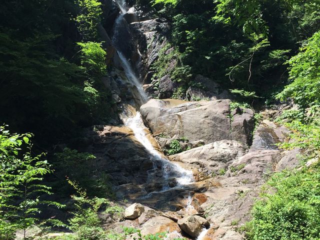 �y���邤��z���O�Ƃ͗����Ɍ��\�ȍ������痎���Ă���_�c���̑�