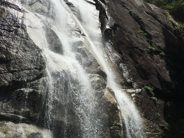 �y�V�͑�z�߂Â��ƌ��\�Ȕ�_�c���̑�