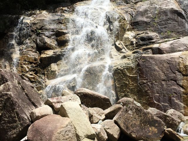 �y������z�����̊�����\�ȗʂŗ����Ă���i�ԈႢ�Ȃ����ȏ�̐����j_�c���̑�