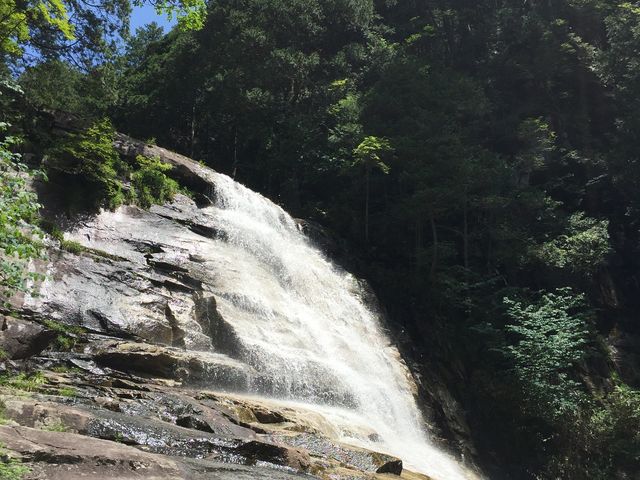 �y�s����z����ӂ͂ƂĂ�����₷���̂ŁA��◣��ĎB�e_�c���̑�