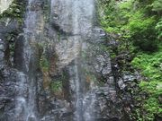 C_C̐i쌧ꑺj̓eʐ^1