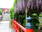 ˂Ԃ̋T˓V_̓̓eʐ^1