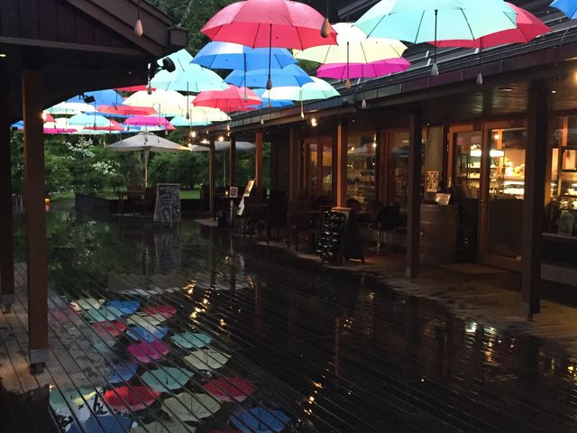 �J�̓��̃f�b�L�ɉf��P���f�G�ł���_�y��򐯖�G���A�@�n���j���e���X