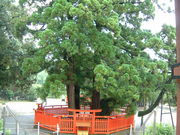 �Ԃ���񂳂�̈����̓��e�ʐ^3