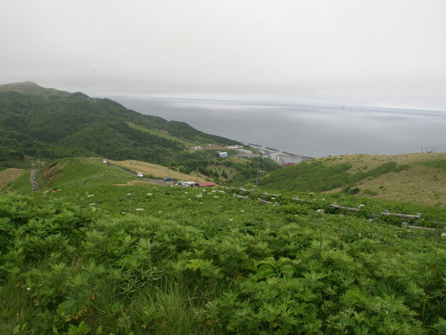 ���₩�猩�����[�̒�_����W�]��