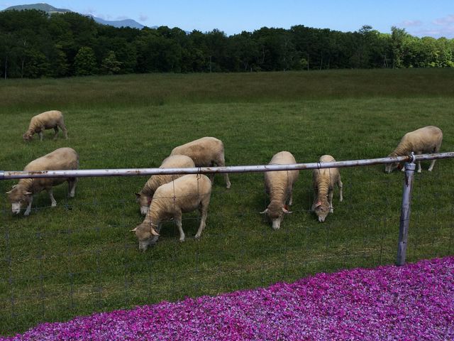 �r���܂���_�����ۂ�r���u�W�]��