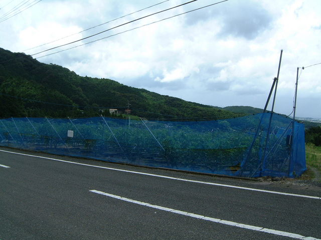 Ԃ񂳂̋B񂲑̓eʐ^3