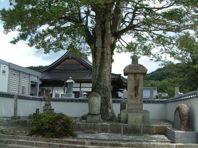 �Ԃ���񂳂�̕ꗢ�����q�̕�̓��e�ʐ^1