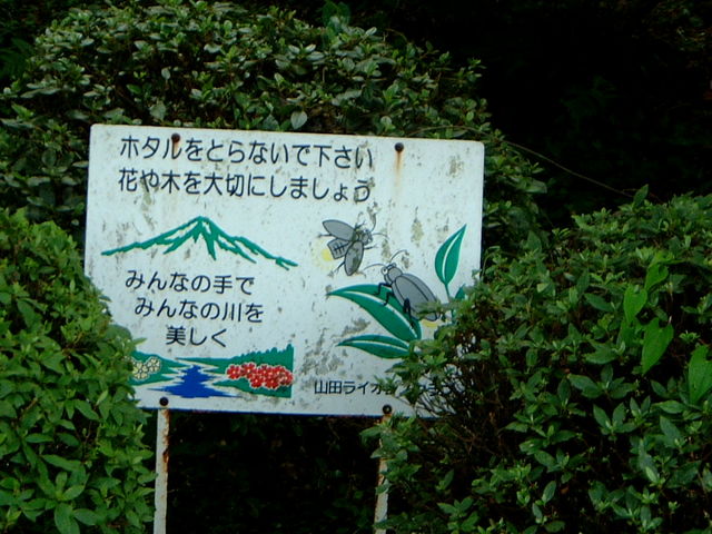 Ԃ񂳂̌Fuz^̗v̓eʐ^1