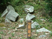 Ԃ񂳂̉Õvx鎩R̓eʐ^4