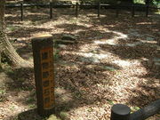 Ԃ񂳂̉Õvx鎩R̓eʐ^5