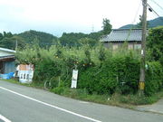 Ԃ񂳂̋B񂲑̓eʐ^2