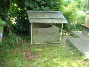 Ԃ񂳂̂e喾_iM~Ձj̓eʐ^2