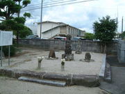 �Ԃ���񂳂�̕ꗢ�����q�̕�̓��e�ʐ^2