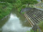 Ԃ񂳂̌Fuz^̗v̓eʐ^2