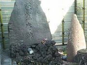 �܂��ǂ���̐[��m�Ԉ��Ղ̓��e�ʐ^1