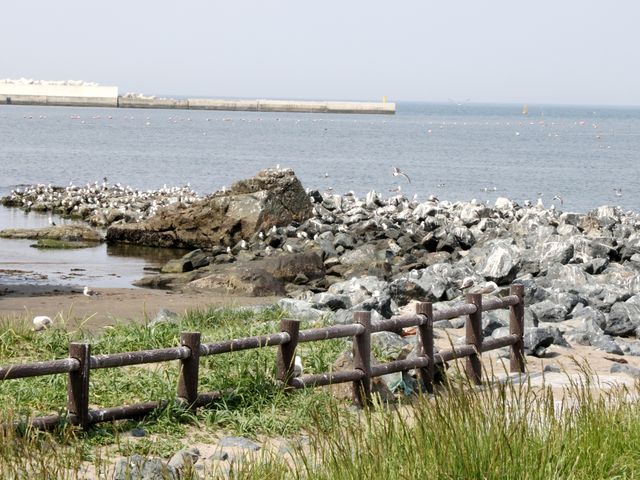 Ƃ񂳂݂̂̂gC̓eʐ^2