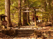 ҂̎jՒTHi_ЃR[Xj̓eʐ^1