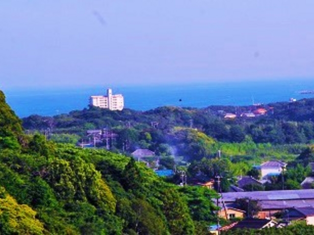 �U���̃R�e�[�W�̑O����B�e�B
�i�ǂ�������C�͌����܂����E�E�j�����炵���̗ǂ��I�����W���B
_��q�I�����W�Z���^�[�@�I�����W���L�����v��