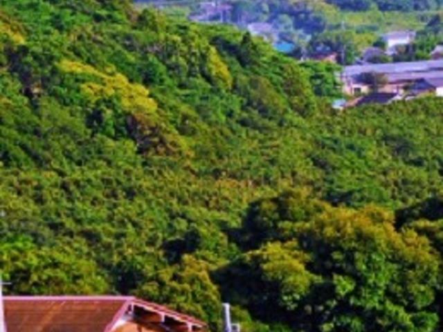 �~�J�����H���Ȃ��ΖʂɁB
�������C�������܂��B_��q�I�����W�Z���^�[�@�I�����W���L�����v��