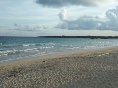 �n���̕l�̎ʐ^1