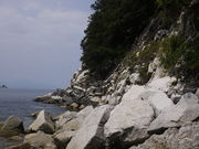 sklfh̃vt@C[▬̓eʐ^1