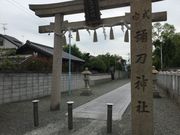 Sakamoto119̖퓁_Ђ̓eʐ^1