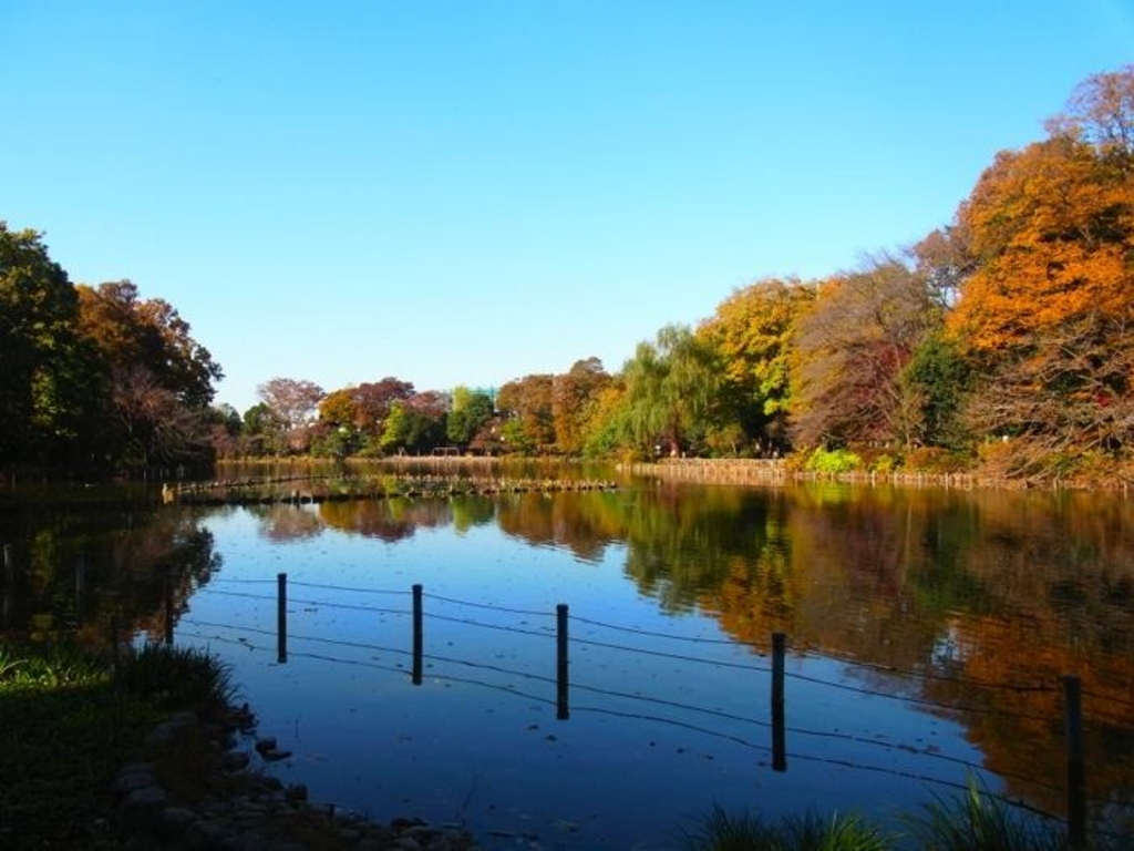 杉並区の公園 庭園ランキングtop10 じゃらんnet