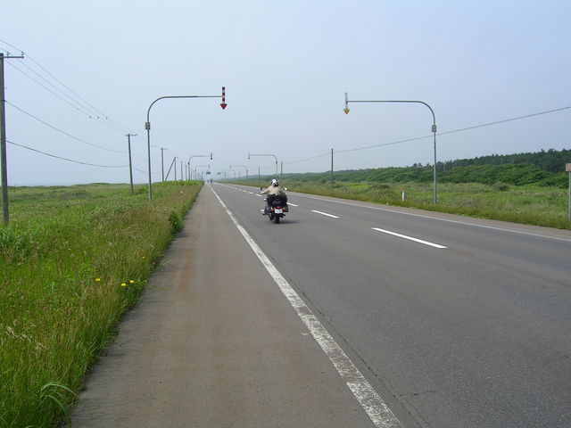 ���_�˔��يԂ̓r���ł����H���^�����ɉ��тĂ܂�_���َR