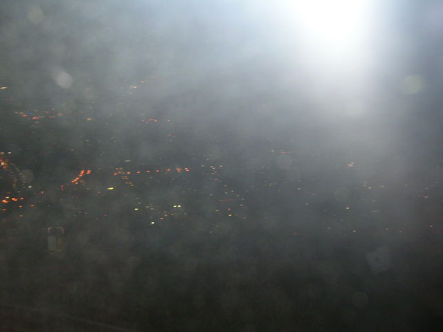 ���َR����̖�i�ł��B�܂����V�Ɍb�܂�܂���B_���َR