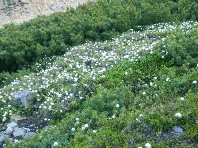 bq񂳂̏\xA̍RAQ̓eʐ^3