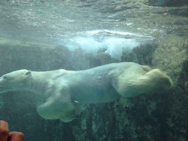 �j���ق����傭���܂��݂���_���R������