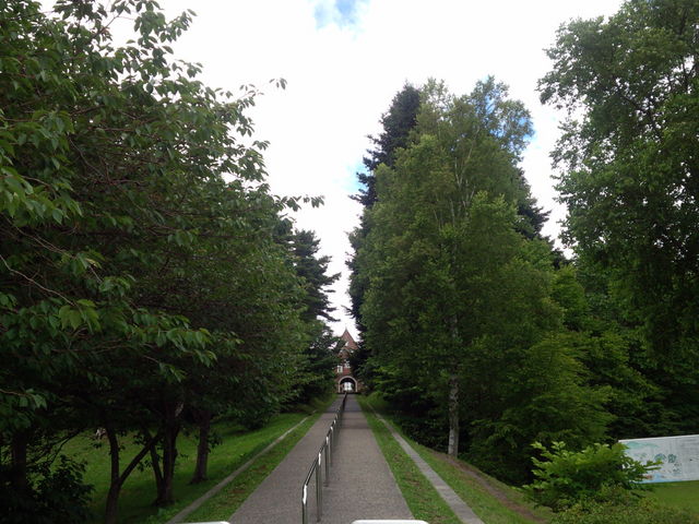 �g���s�X�g�C���@�֌�������_�����V�g�[���̐����C���@�i�g���s�X�g�C���@�j