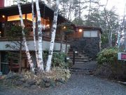 Ђ܂Ȃ񂳂̖ؔn̓eʐ^1