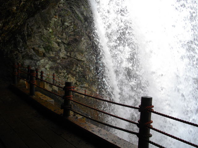 ���������猩��_����