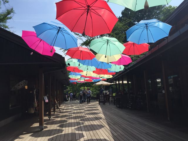 �A���u�����X�J�C_�y��򐯖�G���A�@�n���j���e���X