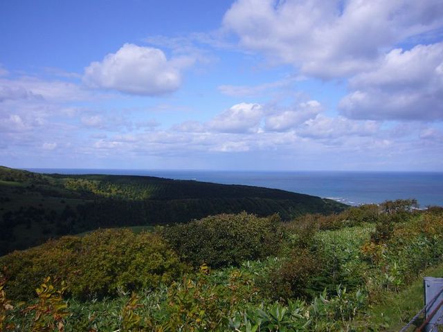 �����c�B_�t������