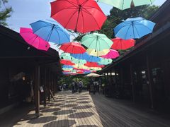 katy̌y򐯖GA@njeXւ̓eʐ^1