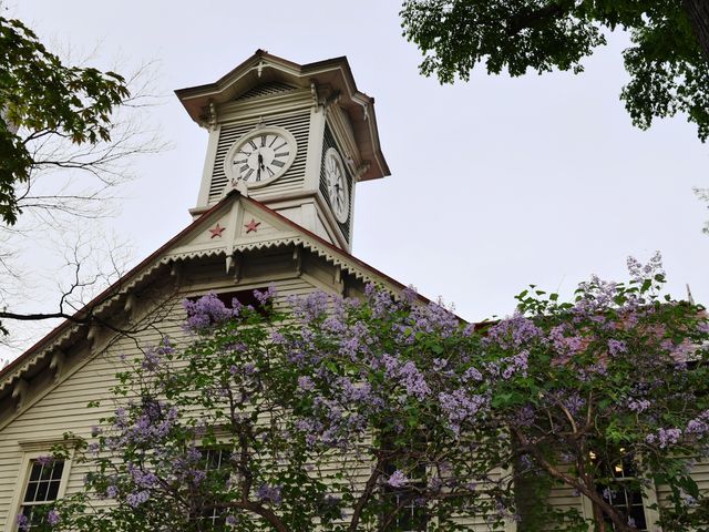 �D�y�s���v��