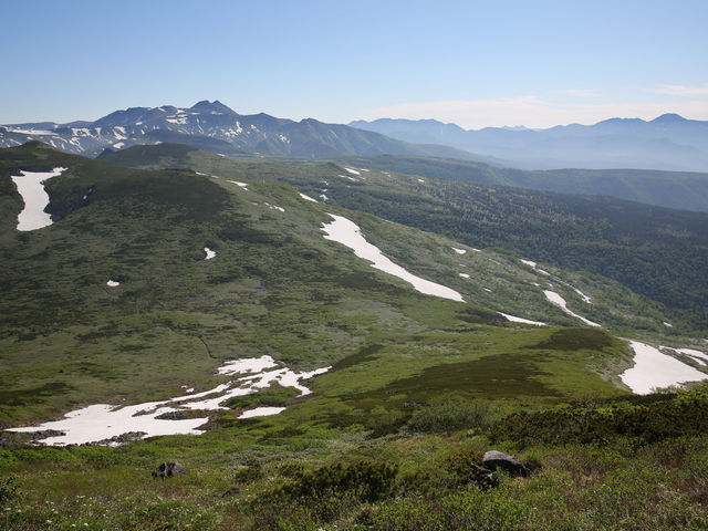 �k���@��������̉��i_�I�v�^�e�V�P�R