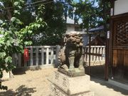 Sakamoto119̏V{̓eʐ^11