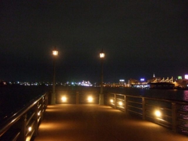 �P���B_���A���D�L�O�ف@������