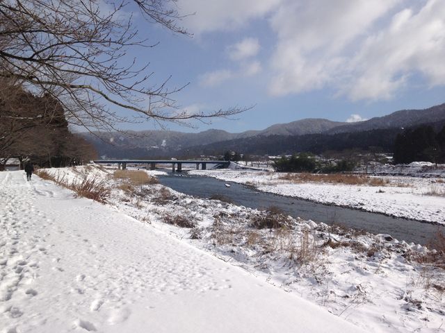 ̉w̗ɂ̐iF_̉w@V{w