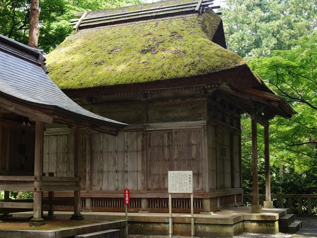 �\���_��_�\�F�_�Ћ������Џ\���_�ЎГa