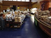 apmika̓̉w тΑ勴ăvU̓eʐ^1