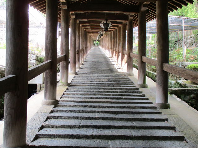 �o�O_���J��