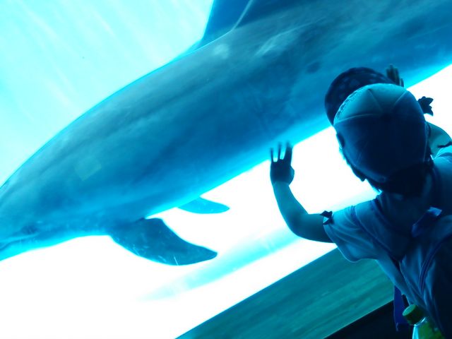 C̃CJV[́ÂŁi΁j߂ṒAJbp⒅ւKvłB_\㓇p[V[][g