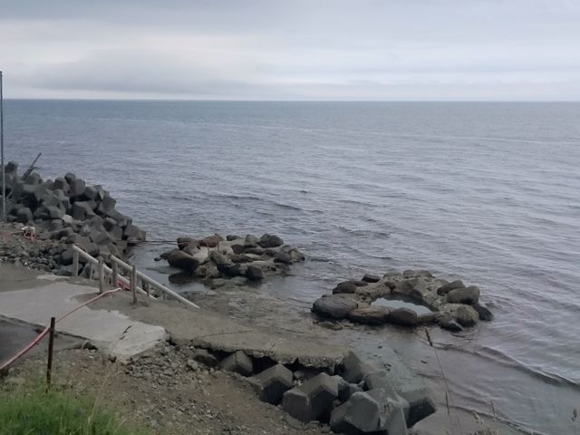 �ߌ�3:00���̘I�V���C�ł��B���������Ă��Ă��܂��B_�Z�Z�L����