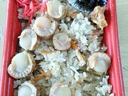 ɂ񂳂̓̉w ǁ`EvUE̓eʐ^2